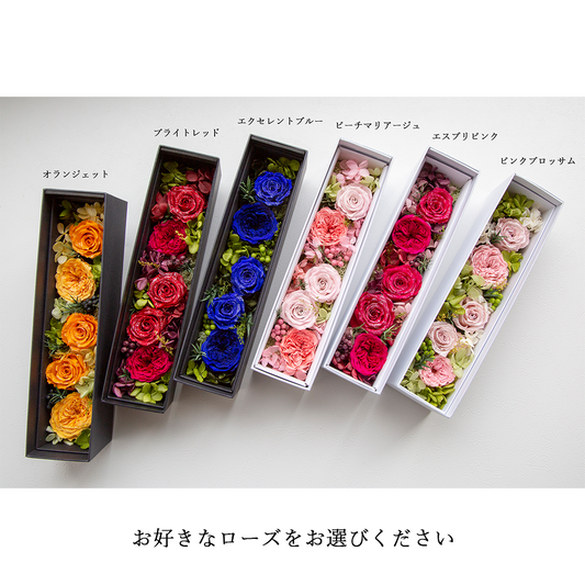 【クリスマス限定】替えベルト付きセット ダイヤモンドローズ ラウンドベージュ+ブラウン付け替えベルト