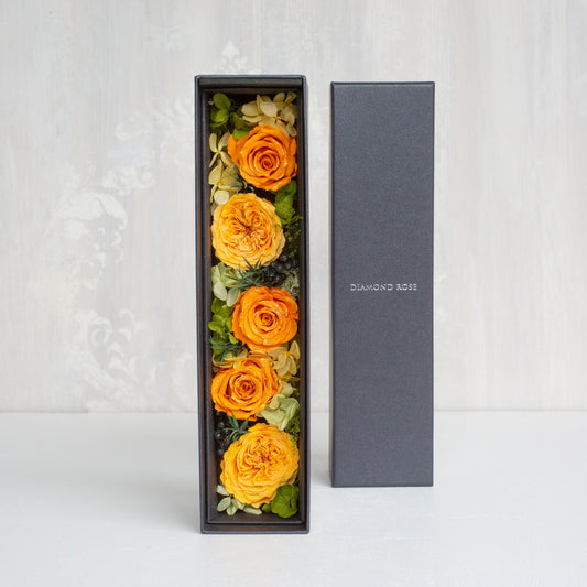 ダイヤモンドローズ グラージュブラック DR03S-CBK オランジェット AR-BOR