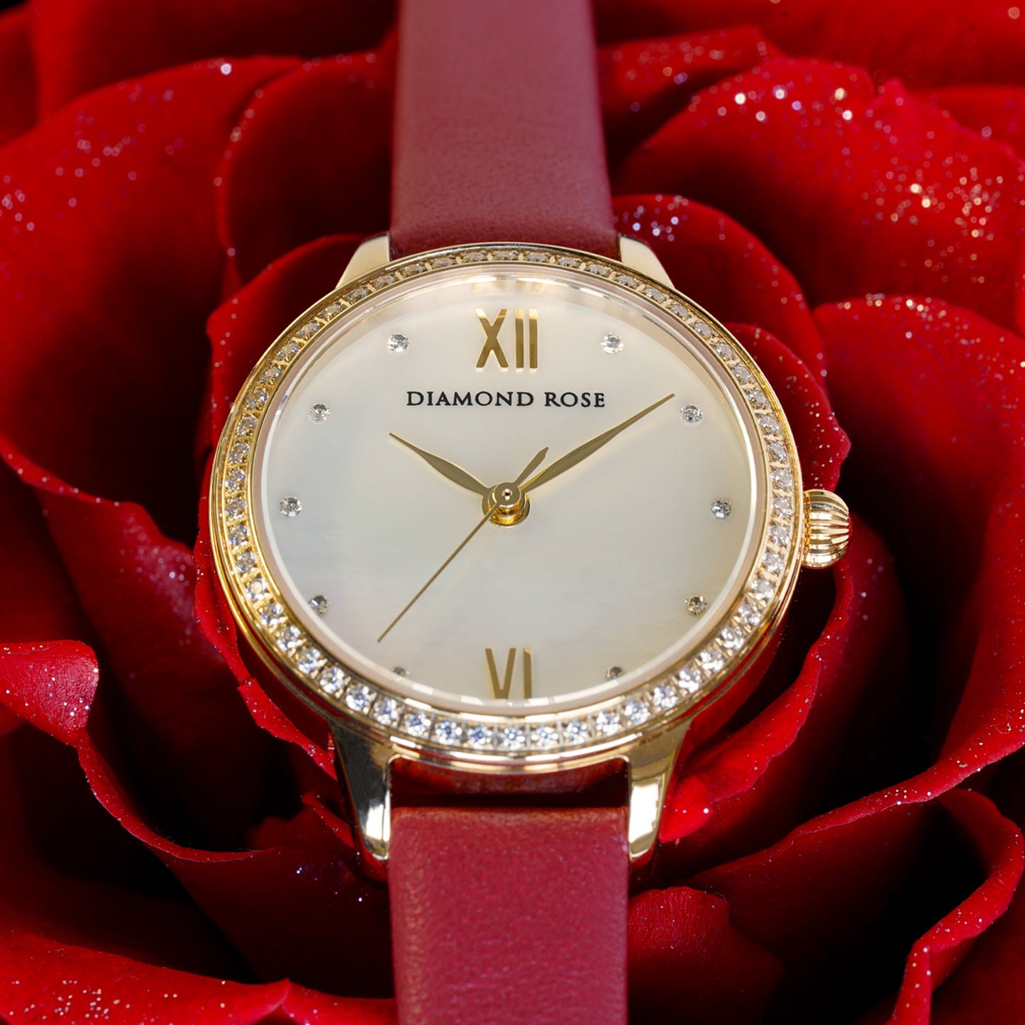 【還暦祝い限定モデル】DIAMONDROSE ダイヤモンドローズ GLAGE DR03G-ARE