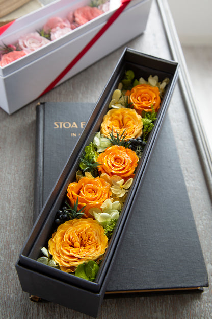 ダイヤモンドローズ グラージュレッド DR03G-CRE オランジェット AR-BOR