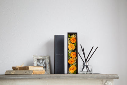 ダイヤモンドローズ グラージュダークブラウン DR03G-CDB オランジェット AR-BOR